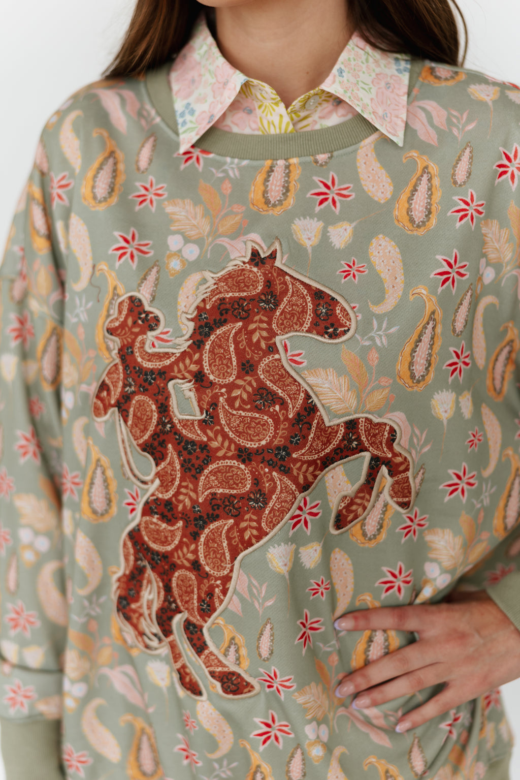 VR2511 PAISLEY BRONC