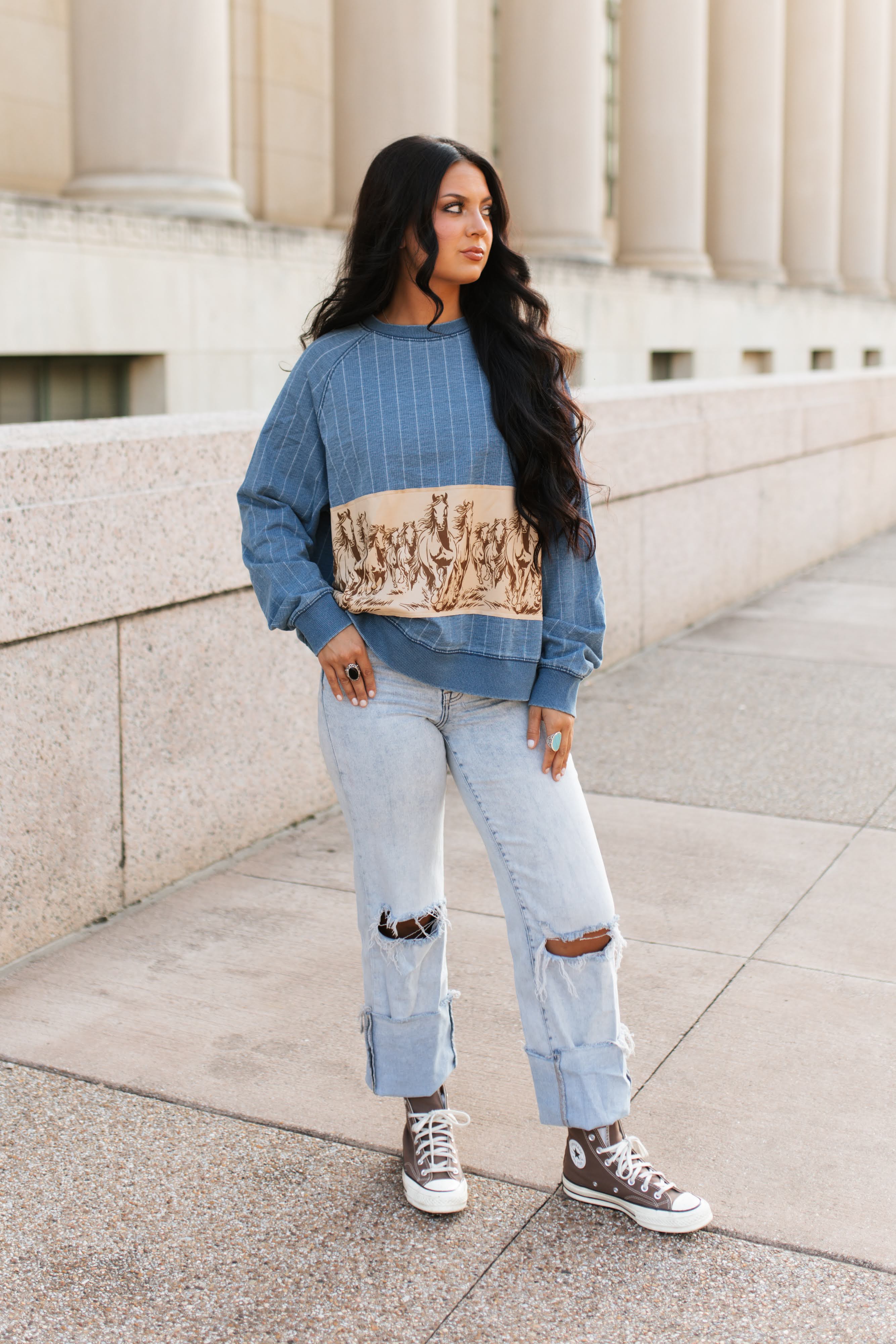 VR300 HORSE  STRIPED DENIM TOP