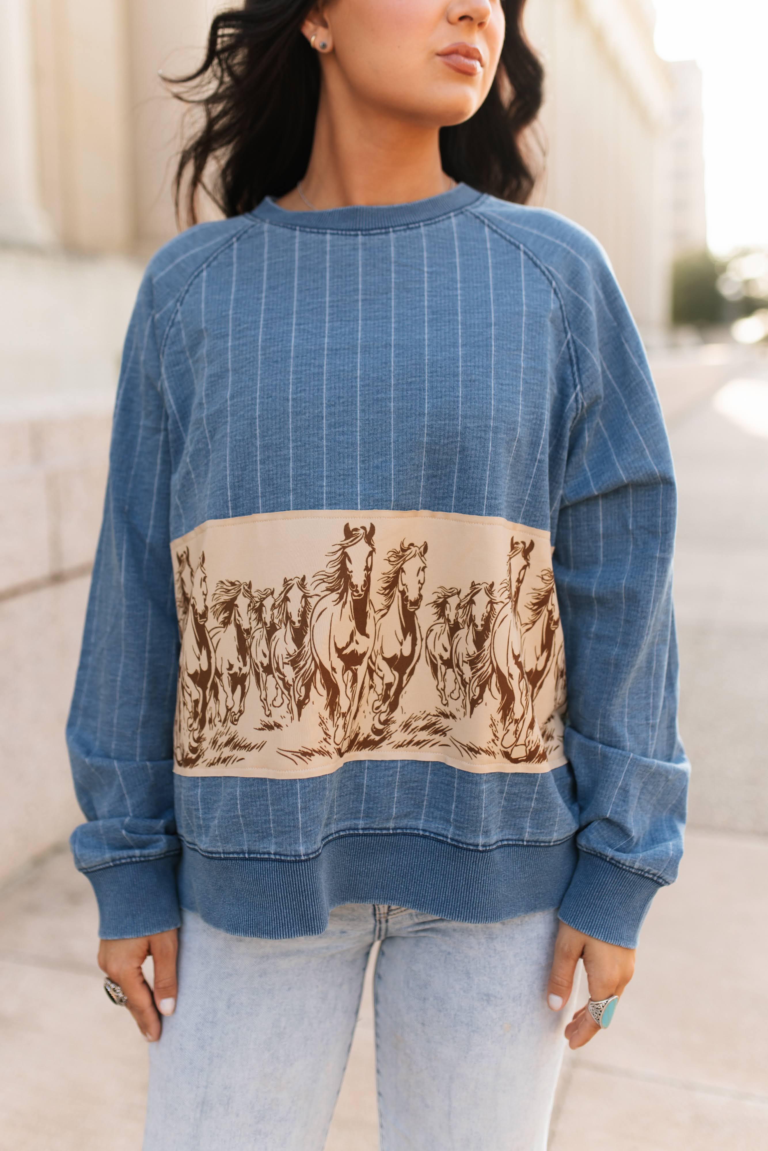 VR300 HORSE  STRIPED DENIM TOP