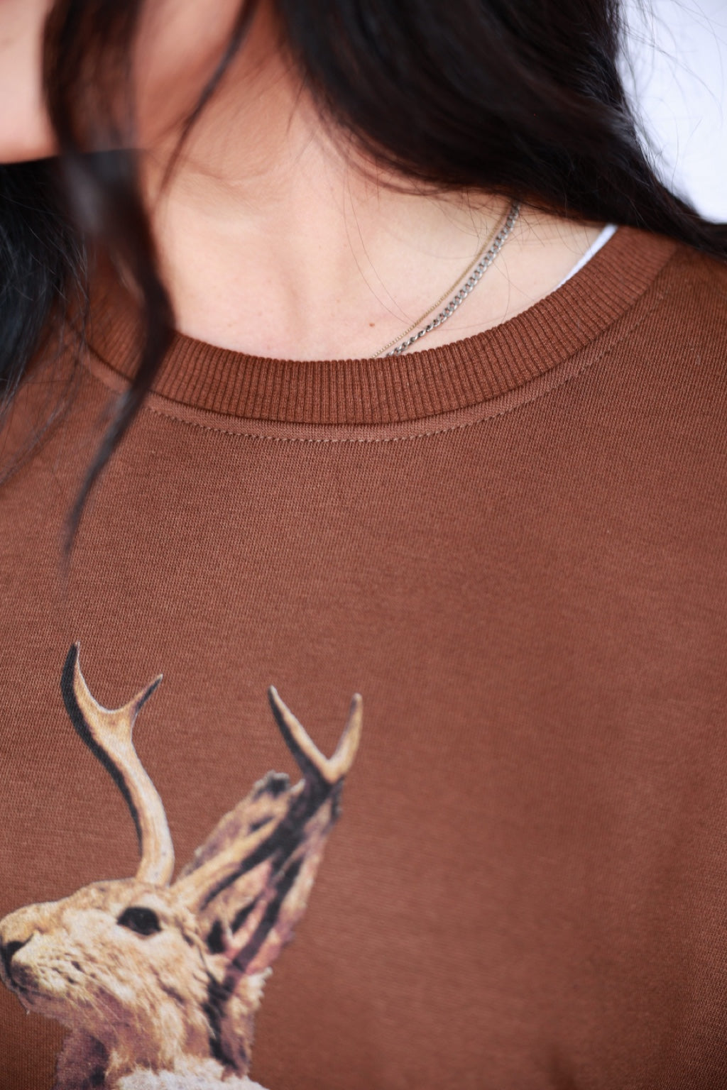 VR2513 BROWN JACKALOPE SWEATSHIRT (7 PIECE)